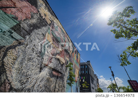 Mural Rio De Janeiro 136654978