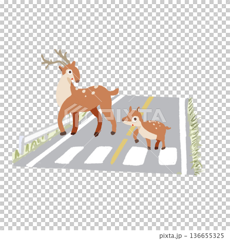 横断歩道を渡る鹿の親子 交通安全と野生動物飛び出し注意イラスト 横断歩道を渡る鹿の親子 交通安全と野生動物飛び出し注意イラスト 136655325