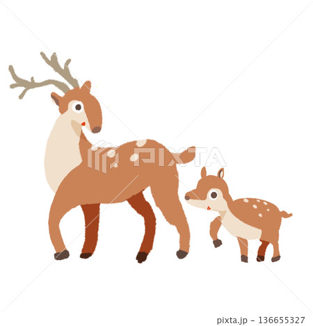 驚いて振り向く鹿の親子のイラスト 136655327