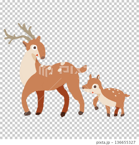 驚いて振り向く鹿の親子のイラスト 136655327