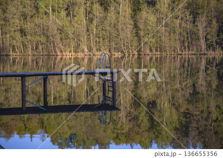 forest and pier by the lake forest and pier by the lake 136655356