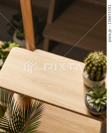 Top view of potted cactus and succulent plant on wooden display rack stand shelf in bright sunlight. Top view of potted cactus and succulent plant on wooden display rack stand shelf in bright sunlight. 136655581