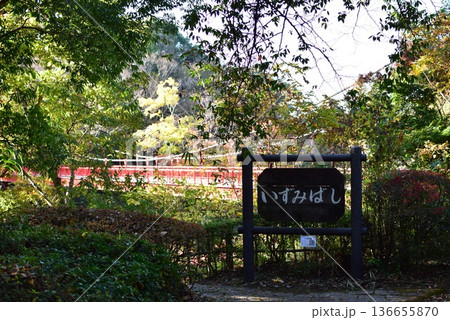 公園にかかる赤い橋 公園にかかる赤い橋 136655870