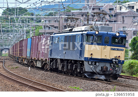 東海道本線　真鶴　JR貨物　EF64-1024（愛知） 136655958