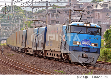 東海道本線　真鶴　JR貨物　M250系　Mc250-5（大井）　スーパーレールカーゴ　SRC 136655960