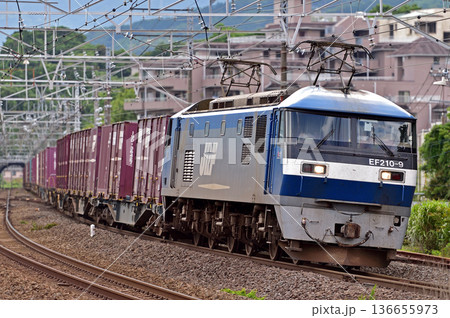 東海道本線　真鶴　JR貨物　EF210-9（岡山） 136655973