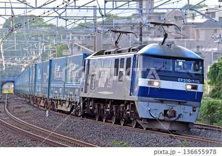 東海道本線 真鶴 JR貨物 EF210-145(吹田) 東海道本線 真鶴 JR貨物 EF210-145(吹田) 136655978