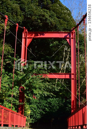 泉自然公園にあるいずみ橋 泉自然公園にあるいずみ橋 136656238