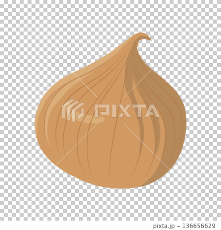 洋蔥向量圖標,葉類蔬菜插圖素材 洋蔥向量圖標,葉類蔬菜插圖素材 136656629