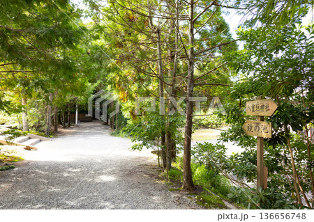 八重垣神社　鏡の池へと続く道 136656748