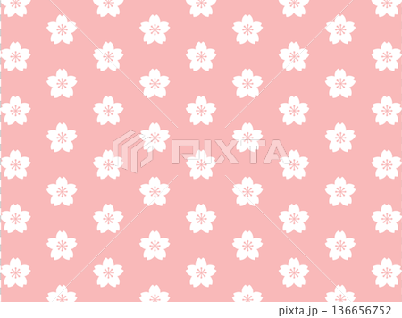桜のシルエット背景(ピンク) 136656752