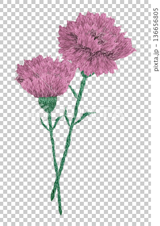 [Carnation Tip] Hand-embroidered illustration material 136656805