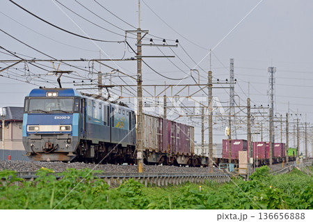 武蔵野線　東川口－東浦和　JR貨物　EH200-9（高崎） 136656888