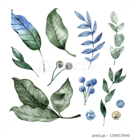Versatile watercolor collection of forest greenery and botanical elements. Featuring hand-painted emerald leaves, blue berries, eucalyptus branches, and crystals, perfect for organic nature-themed Versatile watercolor collection of forest greenery and botanical elements. Featuring hand-painted emerald leaves, blue berries, eucalyptus branches, and crystals, perfect for organic nature-themed 136657640