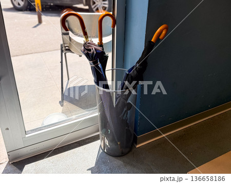 Closed umbrellas in mesh holder by glass door with sunlight. Accessory, lifestyle, and urban interior detail. Closed umbrellas in mesh holder by glass door with sunlight. Accessory, lifestyle, and urban interior detail. 136658186