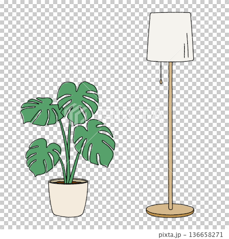 落地燈與盆栽植物 136658271
