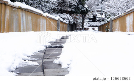 雪に覆われた遊歩道 雪に覆われた遊歩道 136658662