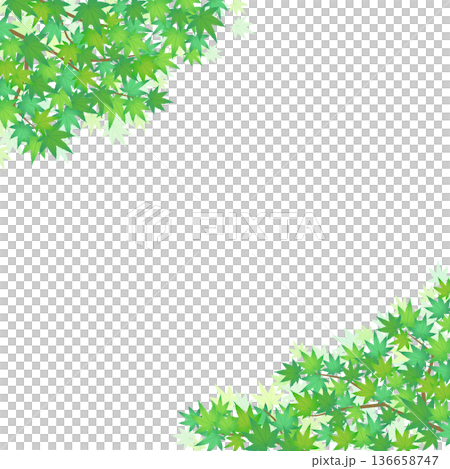 Green maple frame 4_square Green maple frame 4_square 136658747