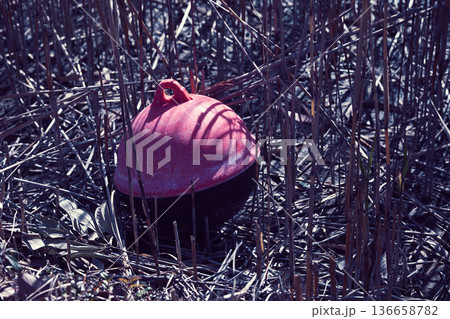 草むらに放置されたごみ 136658782