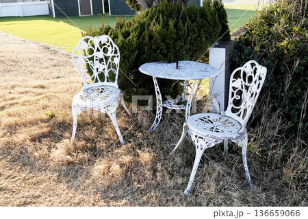 冬のビーチ沿い 大きな常緑樹の下に設置された白い椅子とテーブル 136659066