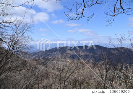 口太山 136659206
