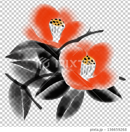 Ink painting "Camellia" illustration | Sumi-e and Japanese-style art background template material 136659268