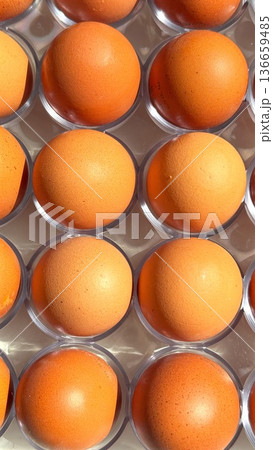 Glossy Eggs Arranged Systematically In Tray. Scene Depicts Organized Food Preparation With Reflective Eggs And Professional Lighting Setup 136659485