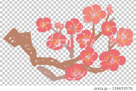 Print-style plum blossom vector illustration | Japanese botanical art background, seasonal design material Print-style plum blossom vector illustration | Japanese botanical art background, seasonal design material 136659576