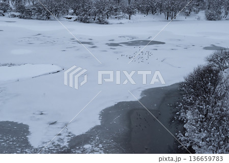 雪の積もった湖と林の風景 a-1 雪の積もった湖と林の風景 a-1 136659783