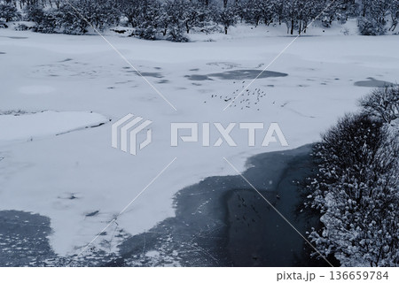 雪の積もった湖と林の風景 a-2 高コントラスト 雪の積もった湖と林の風景 a-2 高コントラスト 136659784