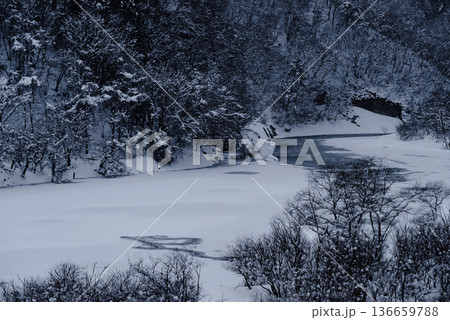 雪の積もった湖と林の風景 c-2 高コントラスト 雪の積もった湖と林の風景 c-2 高コントラスト 136659788