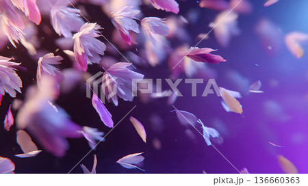 Abstract background with floating petals. Purple and pink petals in the air. Romantic and dreamy background. 136660363