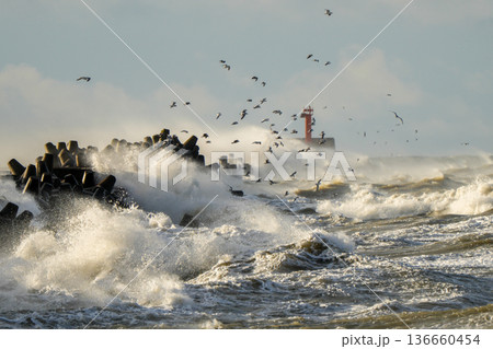 Fierce Baltic Sea storm waves crashing against Liepaja harbor breakwater with lighthouse and birds Fierce Baltic Sea storm waves crashing against Liepaja harbor breakwater with lighthouse and birds 136660454