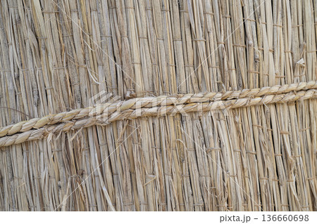 藁で包まれた樹木の冬囲いと荒縄のテクスチャ 136660698