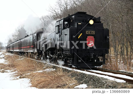 釧網本線　釧路湿原駅ー遠矢駅　岩保木踏切を行く蒸気機関車　 136660869
