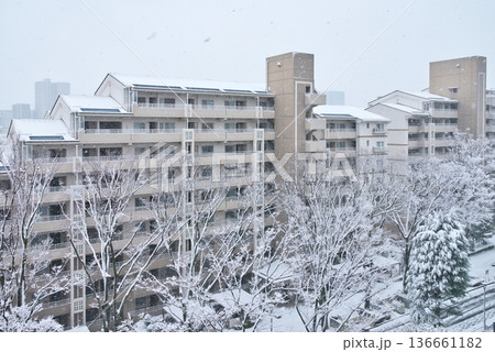 雪が降るマンション　マンションの雪景色　大雪　雪　東京の雪 136661182