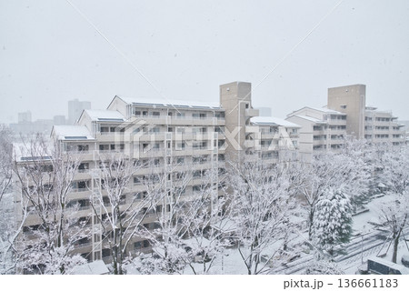 雪が降るマンション　マンションの雪景色　大雪　雪　東京の雪 136661183