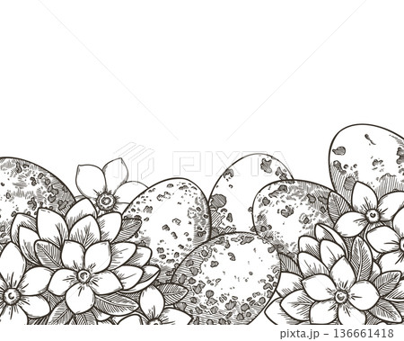 Easter background with quail egg and jasmine flower in vintage sketch style. Hand drawn line art vector design. Floral frame with copy space. Perfect for greeting card and spring holiday template. 136661418