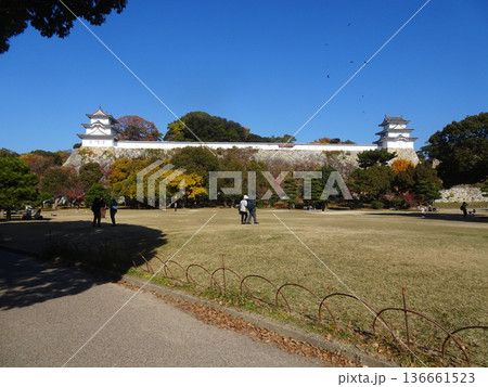 明石城跡（兵庫県明石市） 136661523