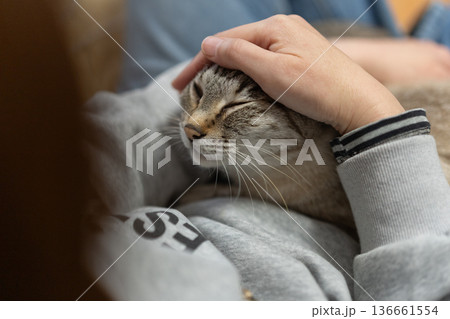 ネコを抱く 136661554