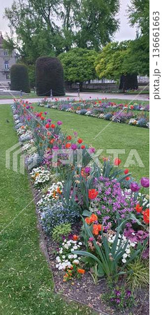 Phone photo of a city square lawn planted with red, purple, and green flowers. Urban garden scene showing public landscaping, color contrast, and everyday outdoor space. Phone photo of a city square lawn planted with red, purple, and green flowers. Urban garden scene showing public landscaping, color contrast, and everyday outdoor space. 136661663