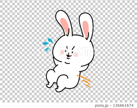 A rabbit working hard on his abdominal muscles 136661674