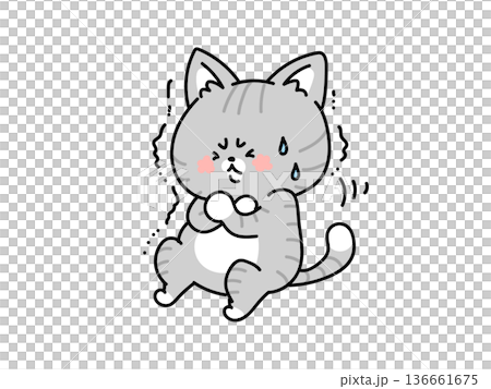 腹筋をがんばるネコさん 136661675