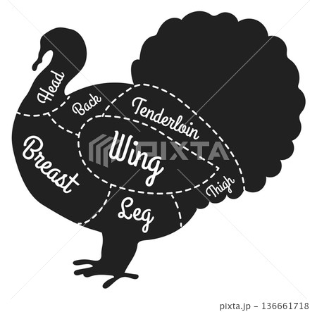 Farm bird meat scheme. Turkey cut diagram 136661718