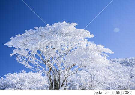 韓国岳の樹氷 136662086