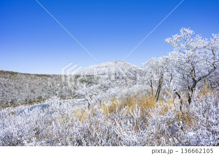 結氷した大浪池 結氷した大浪池 136662105