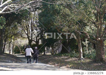 公園 散歩 シニア ライフスタイル 健康 イメージ素材 公園 散歩 シニア ライフスタイル 健康 イメージ素材 136662274