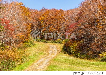 秋の山形蔵王 紅葉の蔵王中央高原 秋の山形蔵王 紅葉の蔵王中央高原 136662331