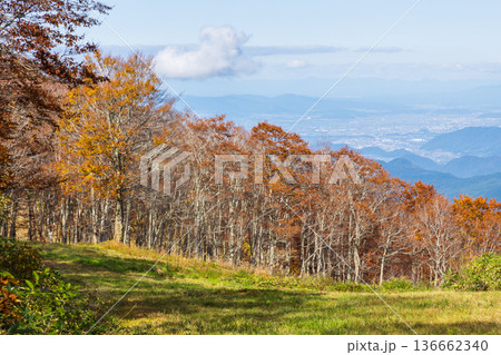 秋の山形蔵王 紅葉の蔵王中央高原 秋の山形蔵王 紅葉の蔵王中央高原 136662340