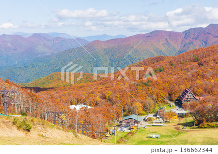 秋の山形蔵王 紅葉の蔵王中央高原 鳥兜山展望台からの眺望 秋の山形蔵王 紅葉の蔵王中央高原 鳥兜山展望台からの眺望 136662344